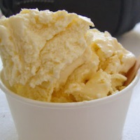 Paleo Ice Cream: French Vanilla, Pralines and Cream, Maple Walnut, & more!